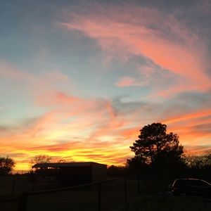 Meet your Posher, Audrey